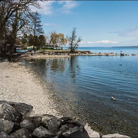 A 6 Mns De La Station De Ski Crozet, Proche Geneve Chevry  Εξωτερικό φωτογραφία